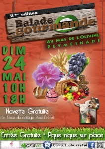 affiche-balade-gourmande-24052015-jpeg